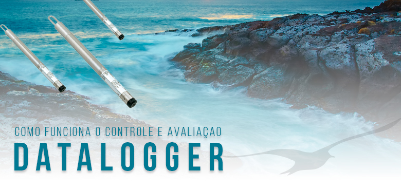 ir para a Datalogger temperatura e umidade: Como funciona o controle e a avaliação ir para a Datalogger temperatura e umidade: Como funciona o controle e a avaliação