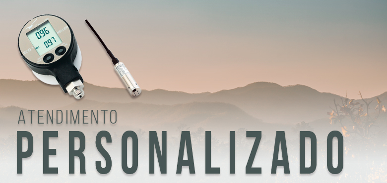 ir para a Manômetros digitais e sondas de nível com atendimento personalizado ir para a Manômetros digitais e sondas de nível com atendimento personalizado